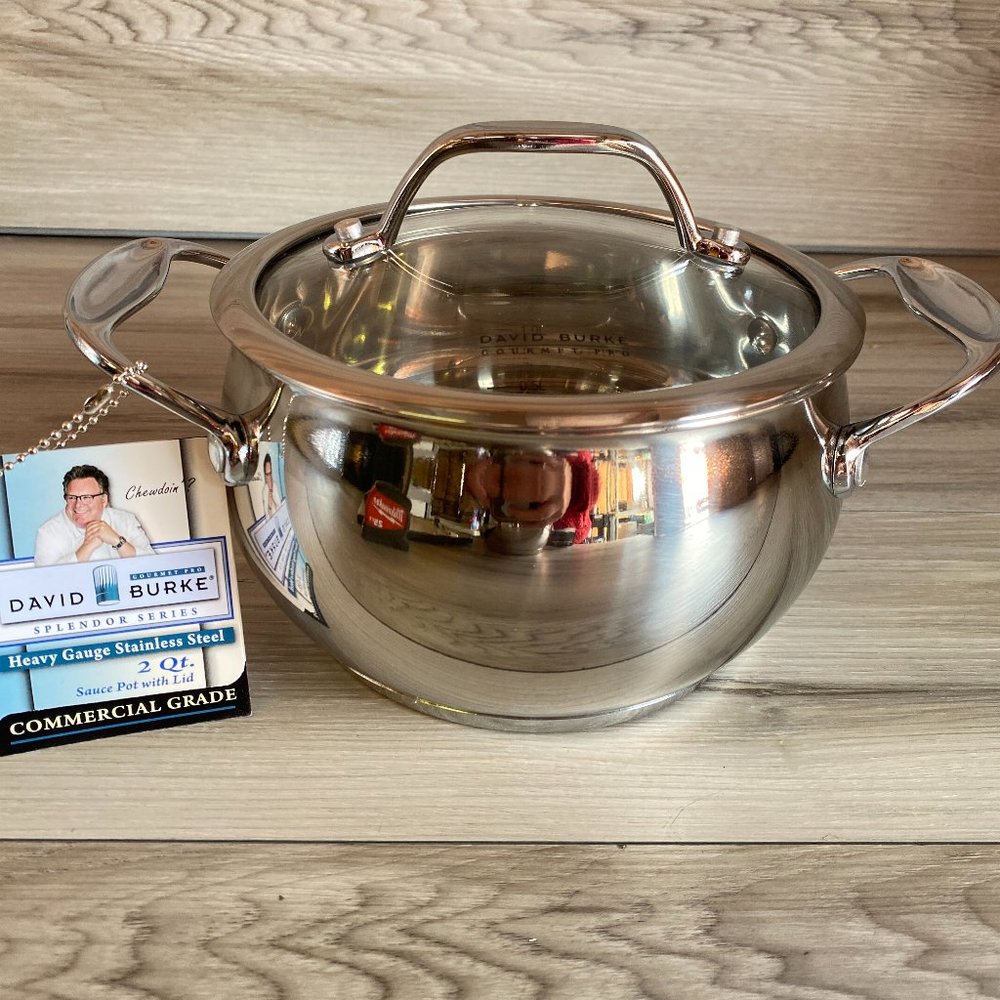 🆕 David Burke 2 QT Splendor Series Stainless Steel 6.5"x4" Sauce Pot with Lid